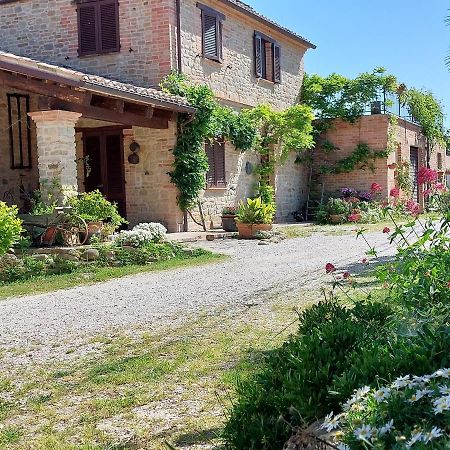 Casale San Martino Agriturismo Bio Sant'Angelo in Pontano Ngoại thất bức ảnh