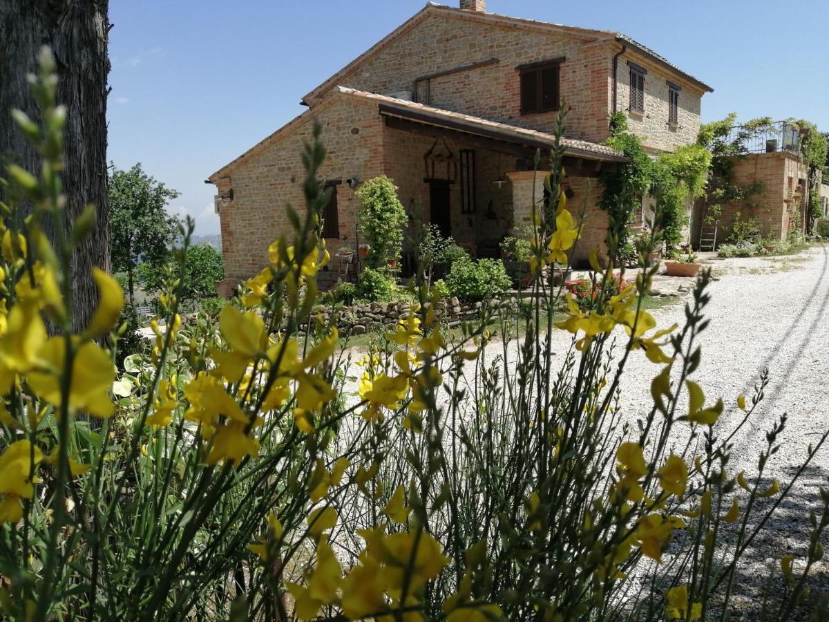 Casale San Martino Agriturismo Bio Sant'Angelo in Pontano Ngoại thất bức ảnh