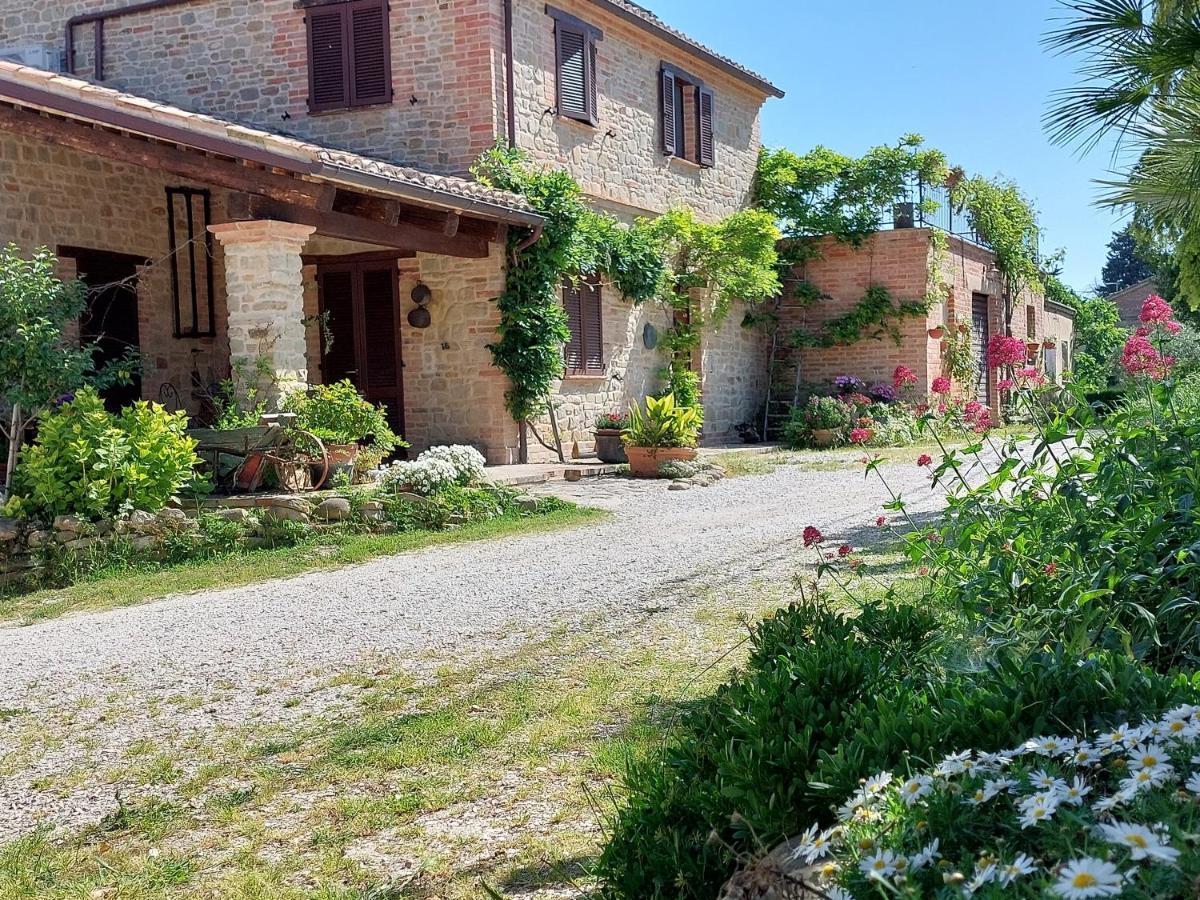 Casale San Martino Agriturismo Bio Sant'Angelo in Pontano Ngoại thất bức ảnh