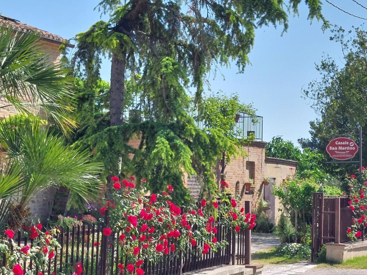Casale San Martino Agriturismo Bio Sant'Angelo in Pontano Ngoại thất bức ảnh