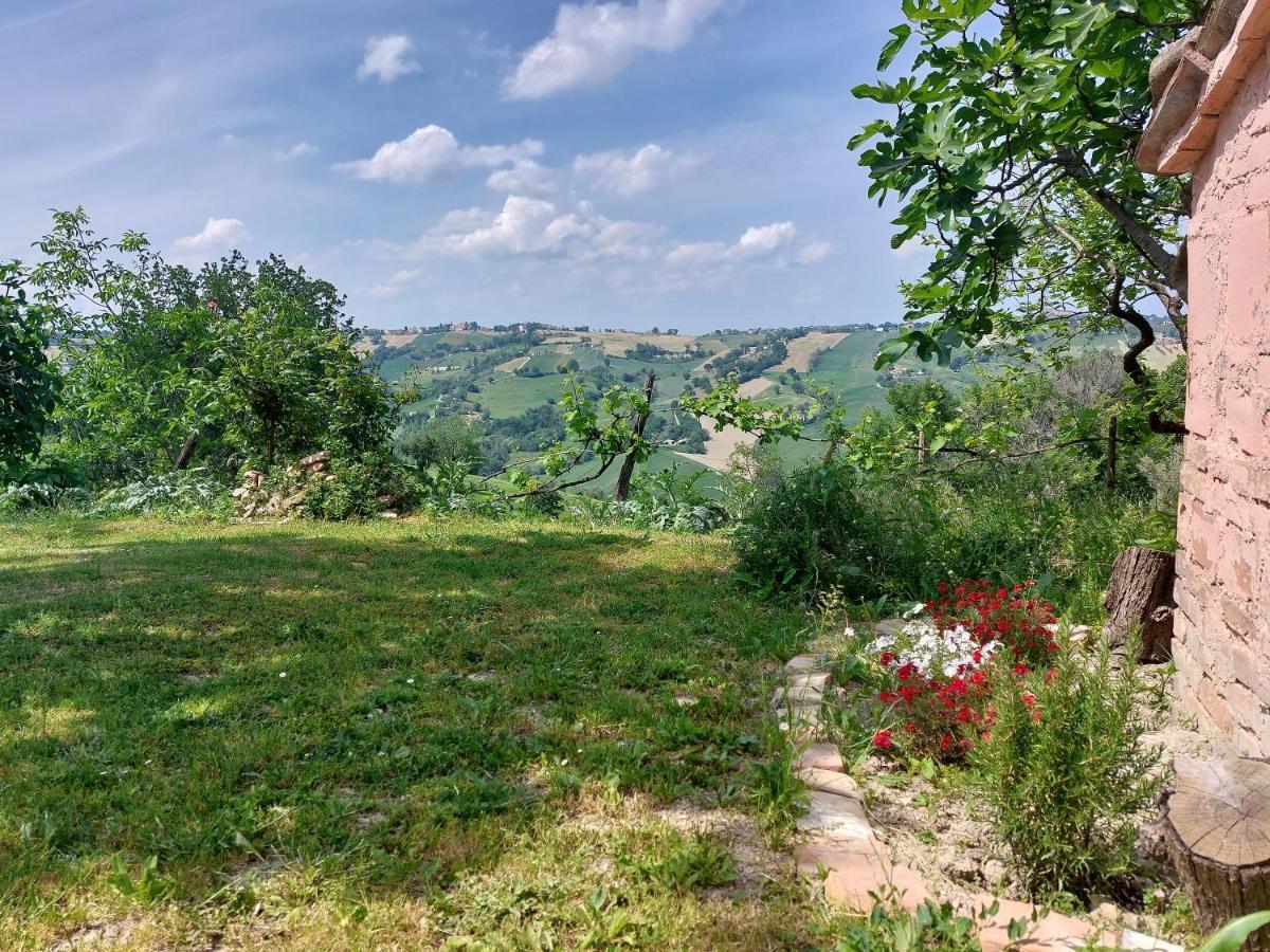 Casale San Martino Agriturismo Bio Sant'Angelo in Pontano Ngoại thất bức ảnh