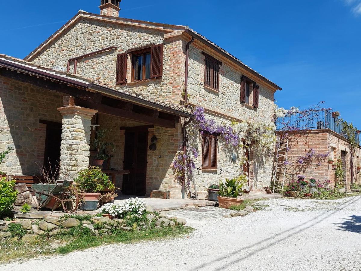Casale San Martino Agriturismo Bio Sant'Angelo in Pontano Ngoại thất bức ảnh