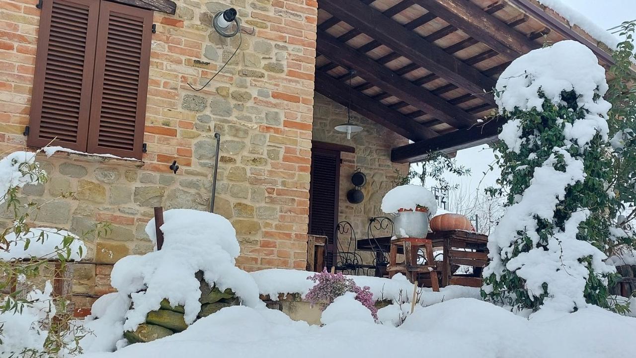 Casale San Martino Agriturismo Bio Sant'Angelo in Pontano Ngoại thất bức ảnh